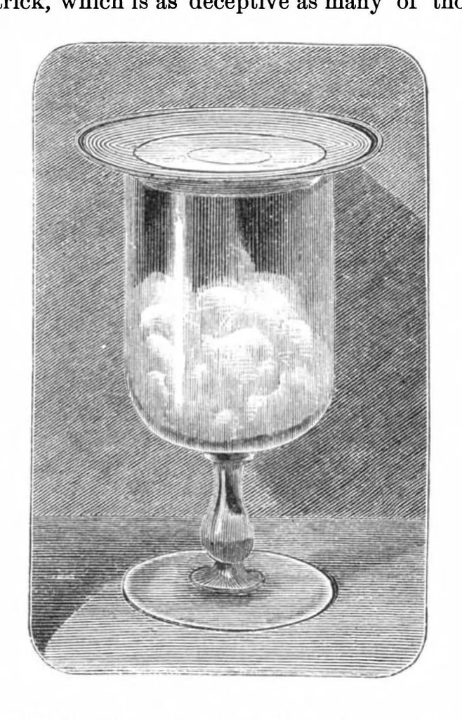 An illustration from Scientific American, Vol. 36, No. 5 (1877), 1877, leaf 8