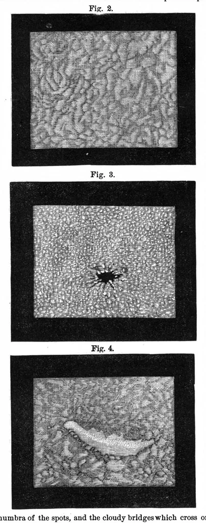 An illustration from Scientific American, Vol. 36, No. 7 (1877), 1877, leaf 3