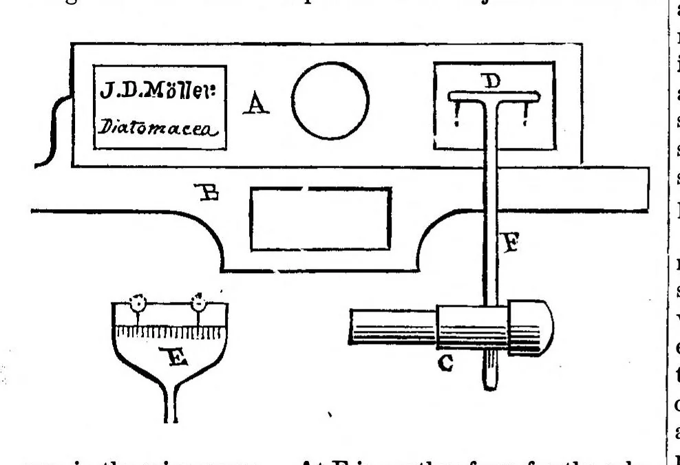 An illustration from Scientific American, Vol. 36, No. 7 (1877), 1877, leaf 5