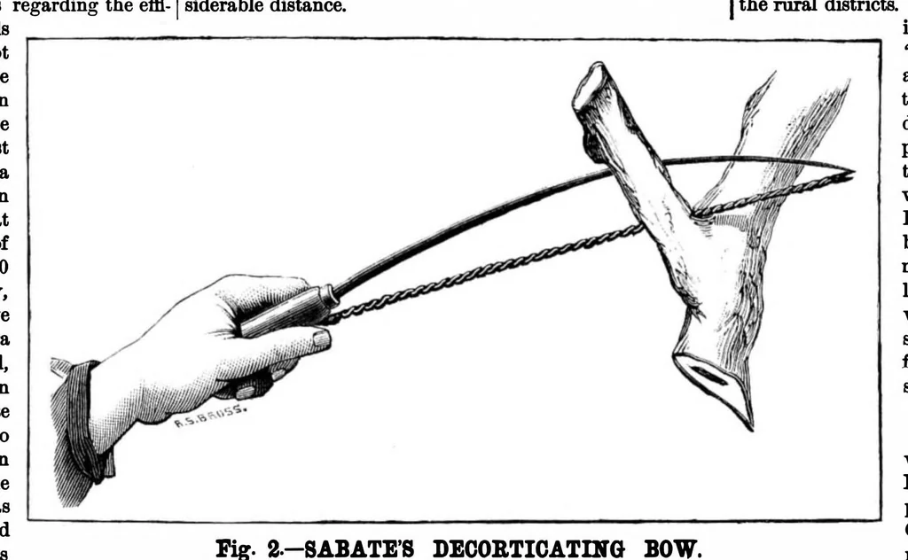 An illustration from Scientific American, Vol. 36, No. 12 (1877), 1877, leaf 7