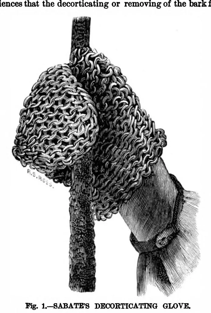 An illustration from Scientific American, Vol. 36, No. 12 (1877), 1877, leaf 7