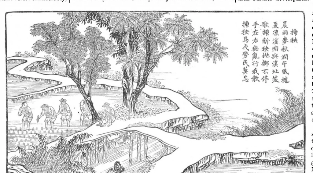 An illustration from Scientific American, Vol. 36, No. 13 (1877), 1877, leaf 3