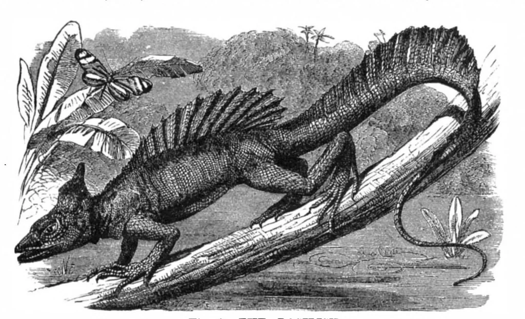 An illustration from Scientific American, Vol. 36, No. 14 (1877), 1877, leaf 8