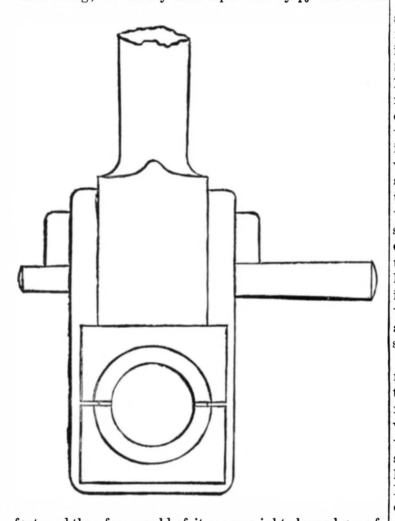 An illustration from Scientific American, Vol. 36, No. 15 (1877), 1877, leaf 2