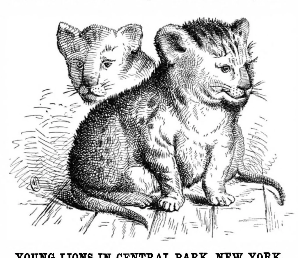 An illustration from Scientific American, Vol. 36, No. 19 (1877), 1877, leaf 8