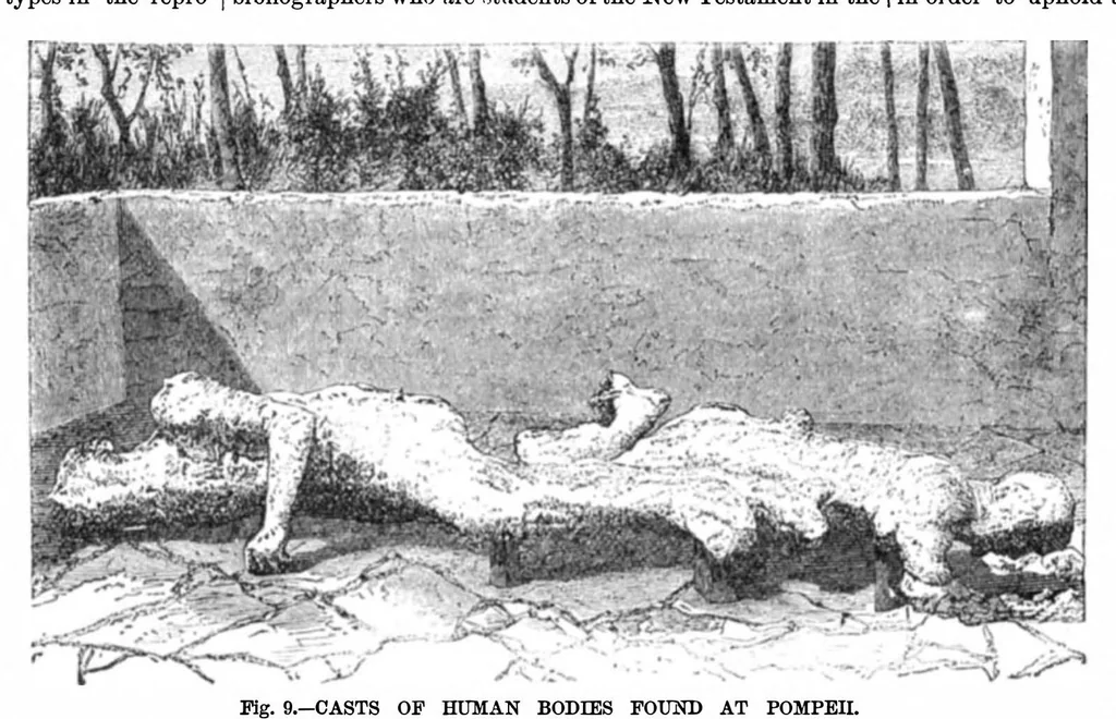 An illustration from Scientific American, Vol. 36, No. 21 (1877), 1877, leaf 9