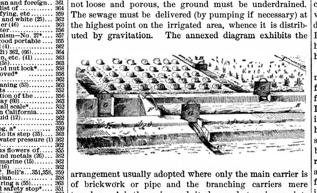 An illustration from Scientific American, Vol. 36, No. 23 (1877), 1877, leaf 1