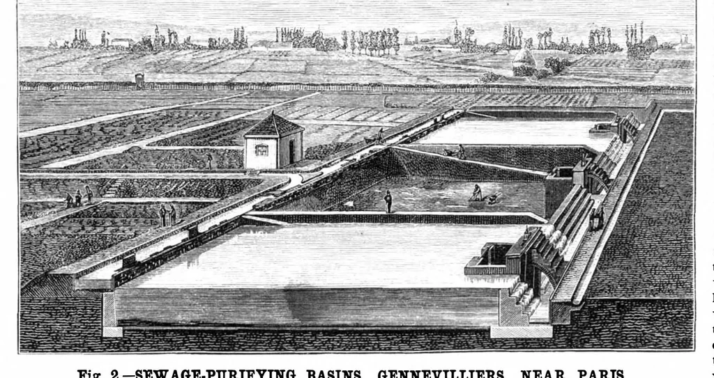 An illustration from Scientific American, Vol. 36, No. 24 (1877), 1877, leaf 0