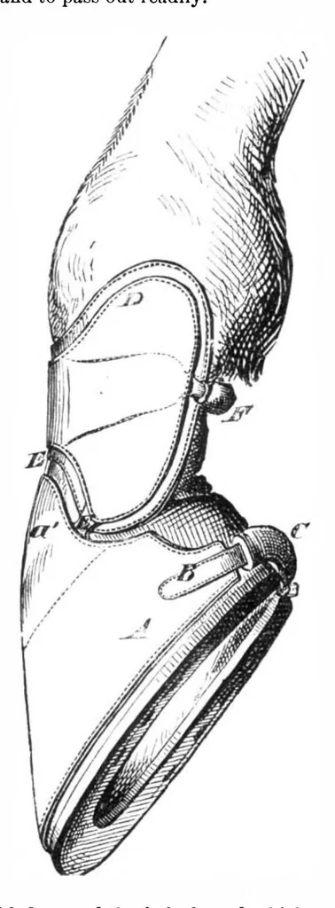 An illustration from Scientific American, Vol. 36, No. 25 (1877), 1877, leaf 3