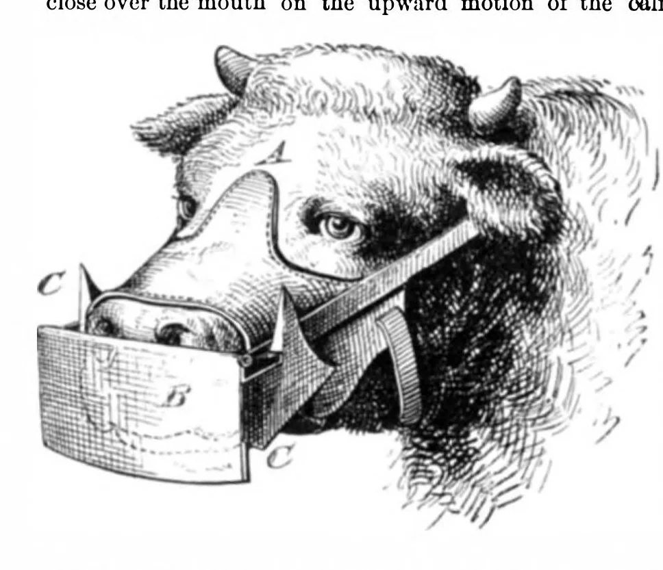 An illustration from Scientific American, Vol. 36, No. 25 (1877), 1877, leaf 3