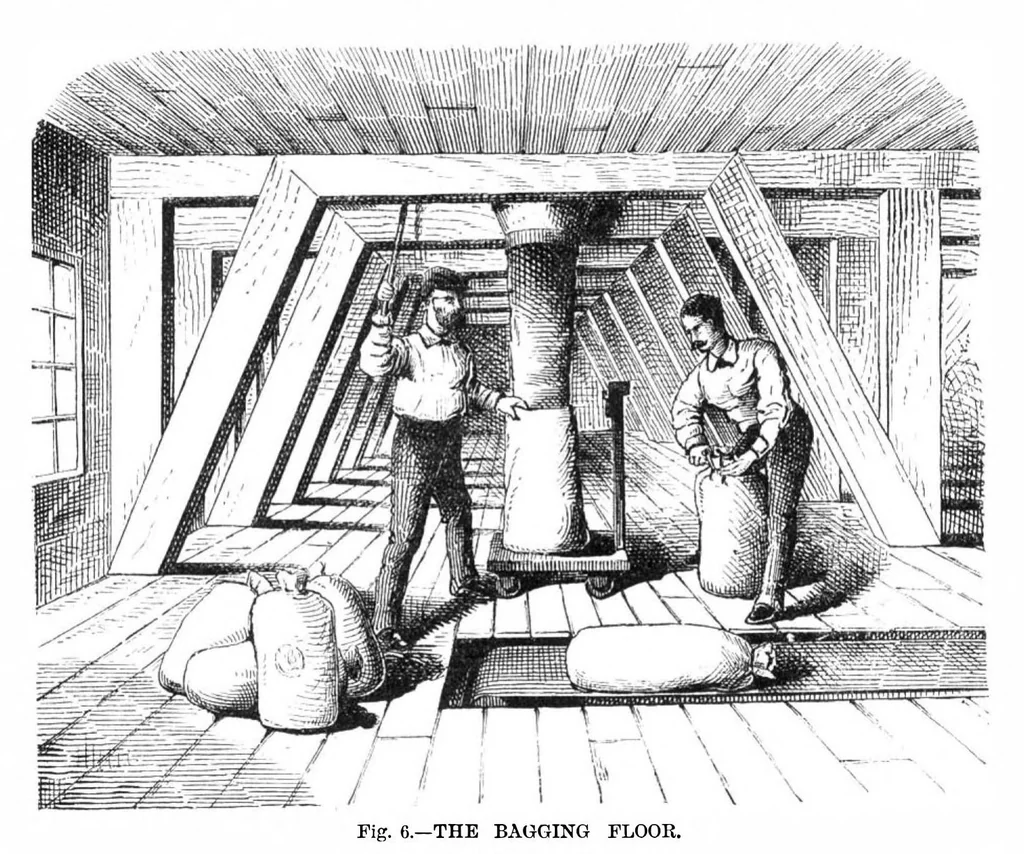 An illustration from Scientific American, Vol. 36, No. 25 (1877), 1877, leaf 8