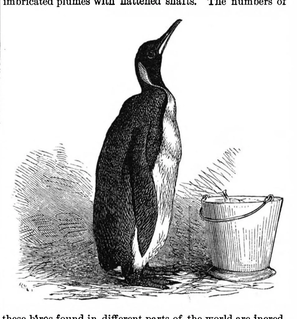 An illustration from Scientific American, Vol. 37, No. 1 (1877), 1877, leaf 7