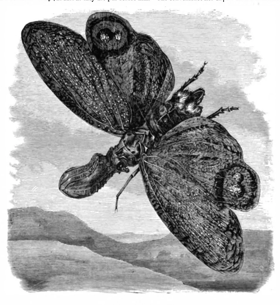 An illustration from Scientific American, Vol. 37, No. 4 (1877), 1877, leaf 8