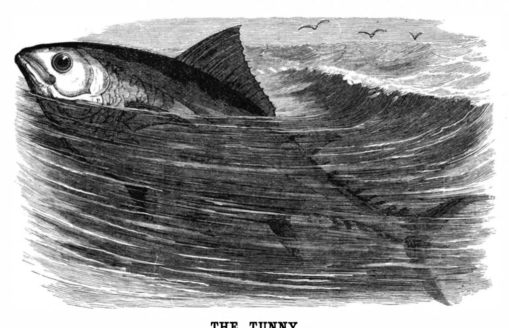 An illustration from Scientific American, Vol. 37, No. 4 (1877), 1877, leaf 8