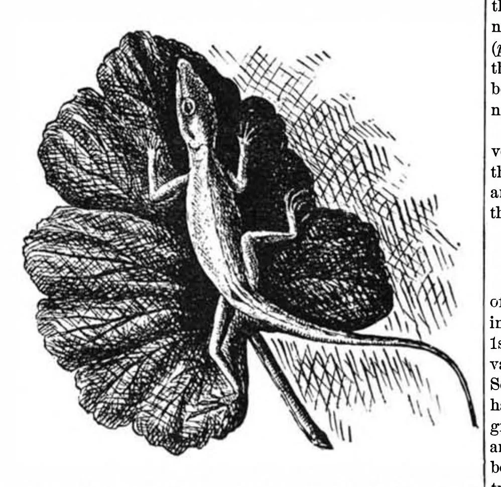 An illustration from Scientific American, Vol. 37, No. 5 (1877), 1877, leaf 8