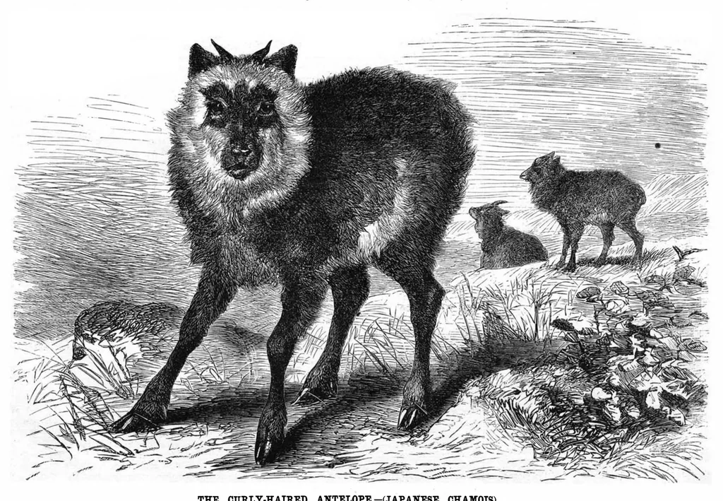 An illustration from Scientific American, Vol. 37, No. 7 (1877), 1877, leaf 8