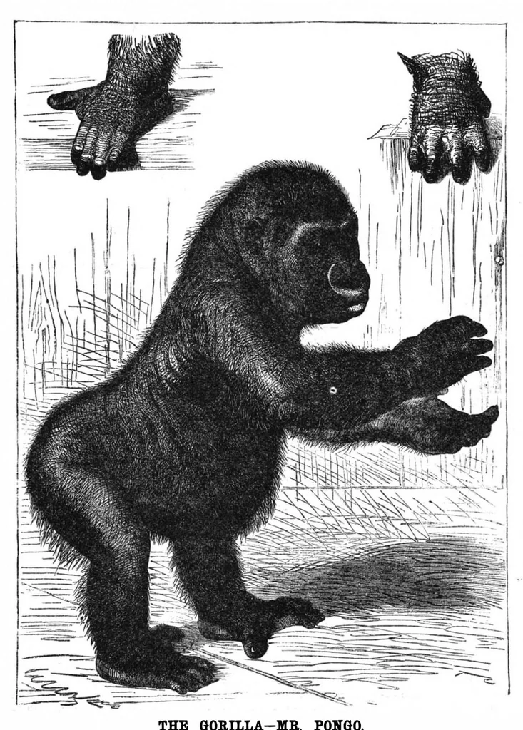 An illustration from Scientific American, Vol. 37, No. 9 (1877), 1877, leaf 8
