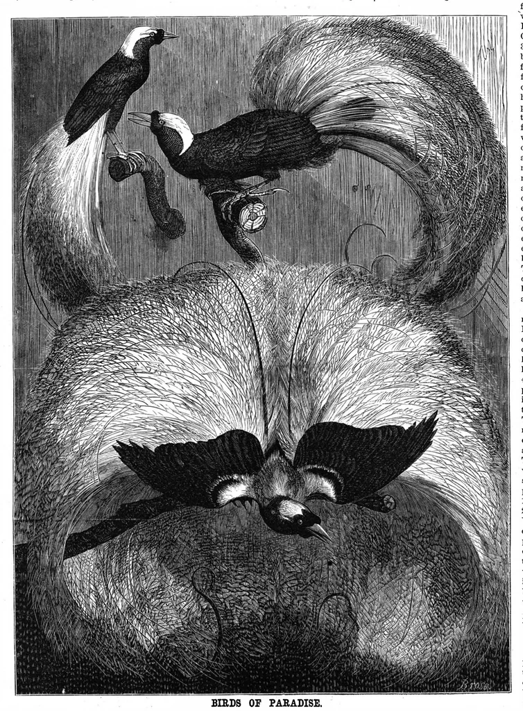 An illustration from Scientific American, Vol. 37, No. 13 (1877), 1877, leaf 8