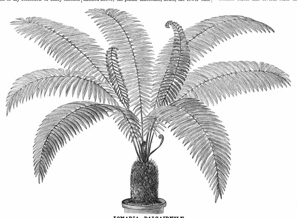 An illustration from Scientific American, Vol. 37, No. 15 (1877), 1877, leaf 8