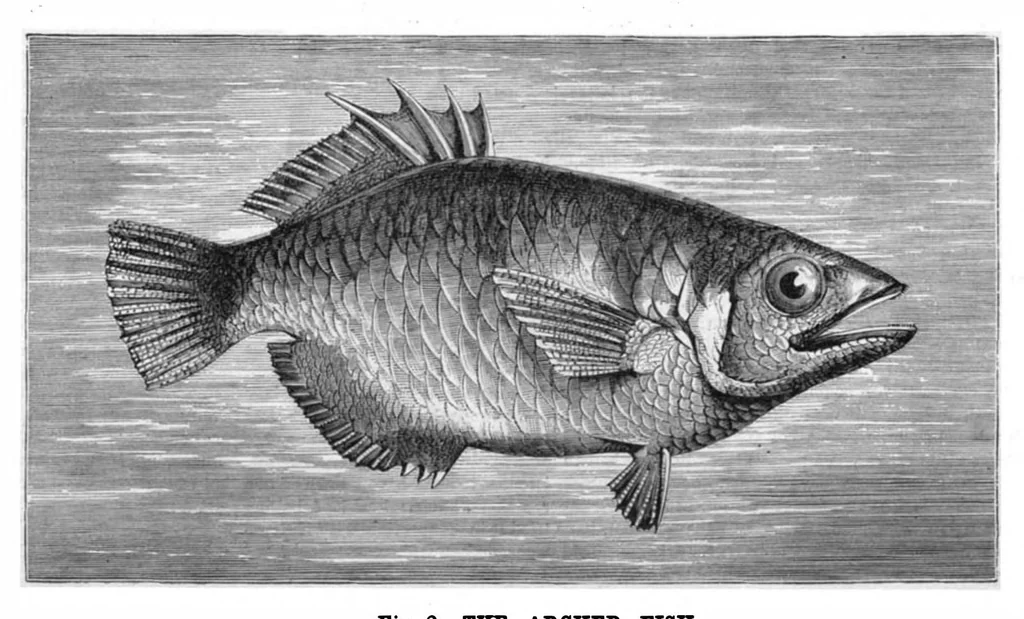 An illustration from Scientific American, Vol. 37, No. 19 (1877), 1877, leaf 8