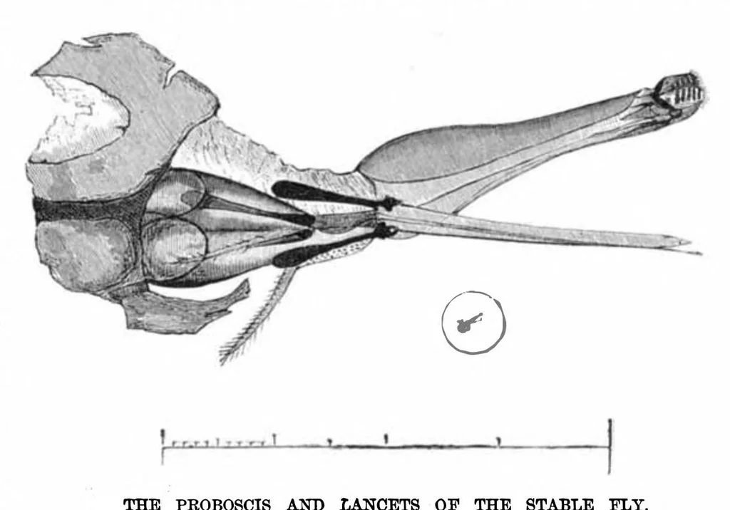 An illustration from Scientific American, Vol. 37, No. 22 (1877), 1877, leaf 9