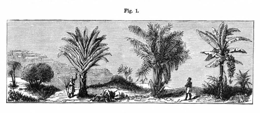 An illustration from Scientific American, Vol. 37, No. 23 (1877), 1877, leaf 4