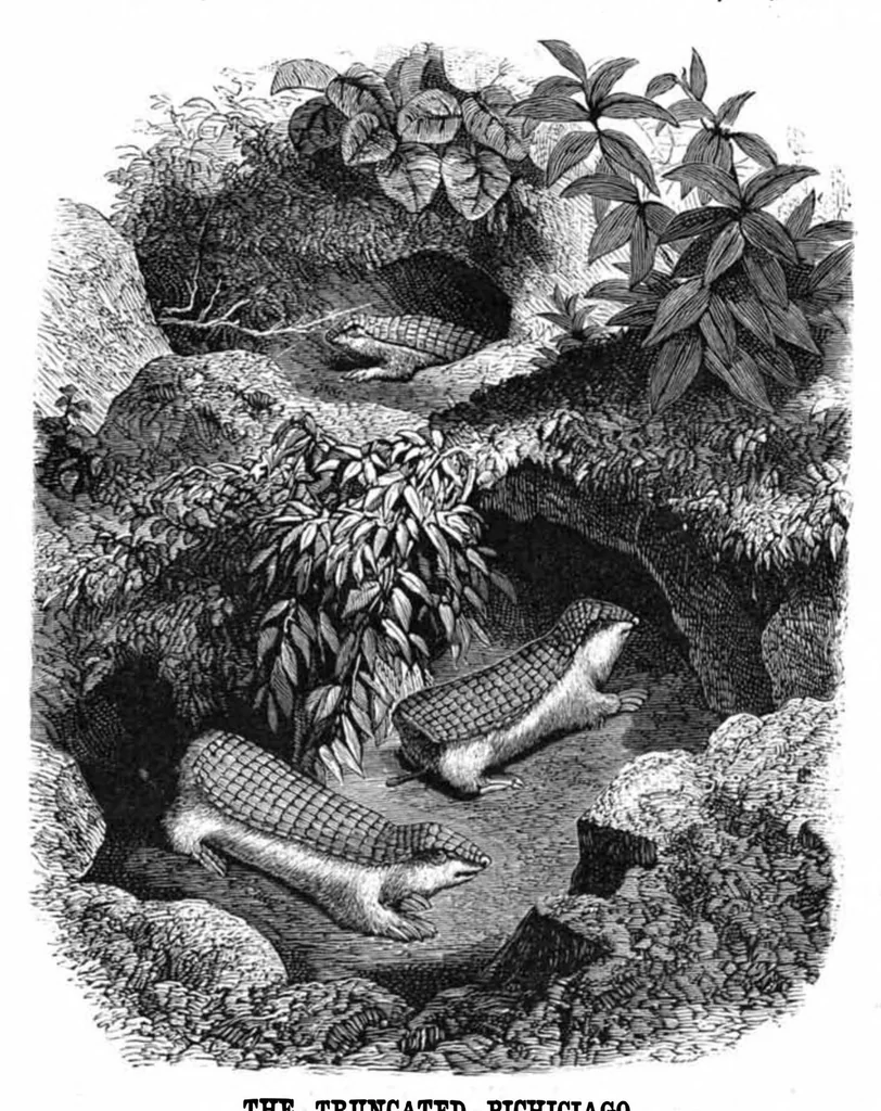 An illustration from Scientific American, Vol. 37, No. 23 (1877), 1877, leaf 8