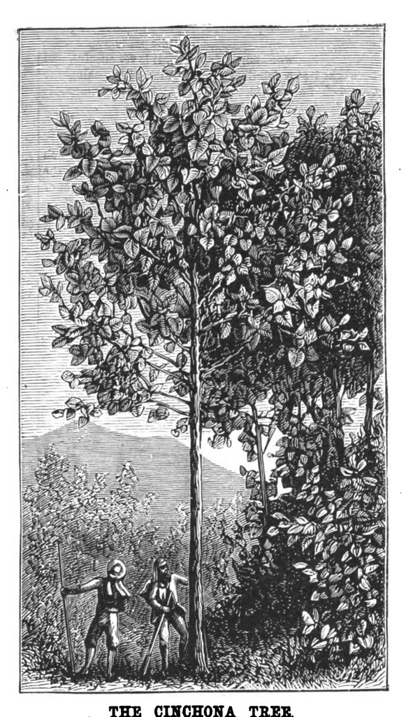 An illustration from Scientific American, Vol. 38, No. 3 (1878), 1878, leaf 8