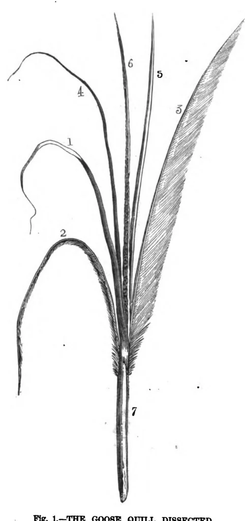An illustration from Scientific American, Vol. 38, No. 4 (1878), 1878, leaf 3