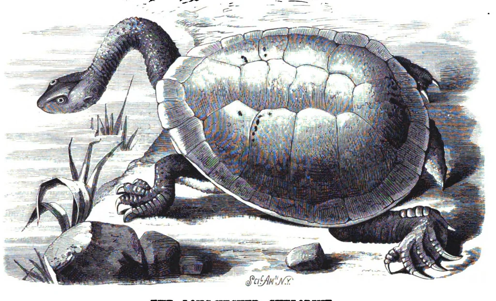 An illustration from Scientific American, Vol. 38, No. 6 (1878), 1878, leaf 6