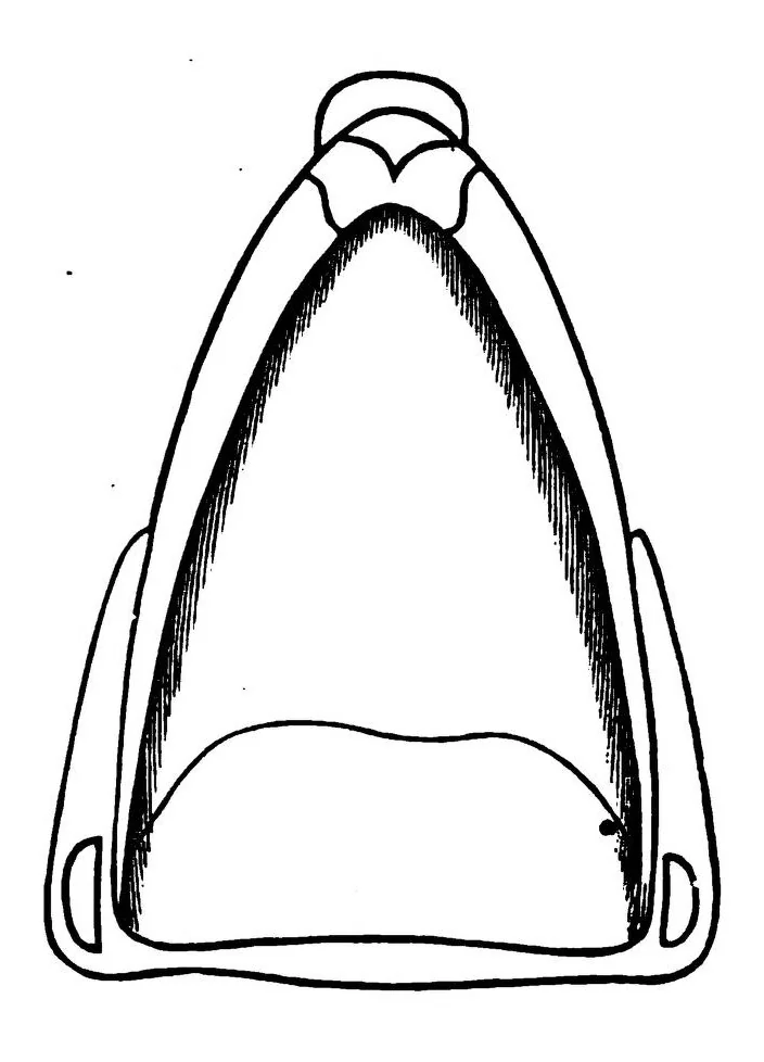 An illustration from Scientific American, Vol. 38, No. 6 (1878), 1878, leaf 7