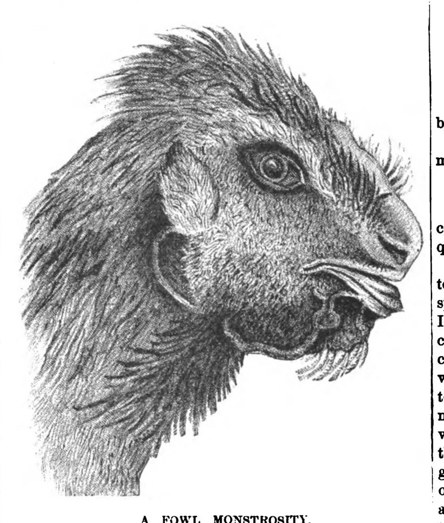 An illustration from Scientific American, Vol. 38, No. 6 (1878), 1878, leaf 8