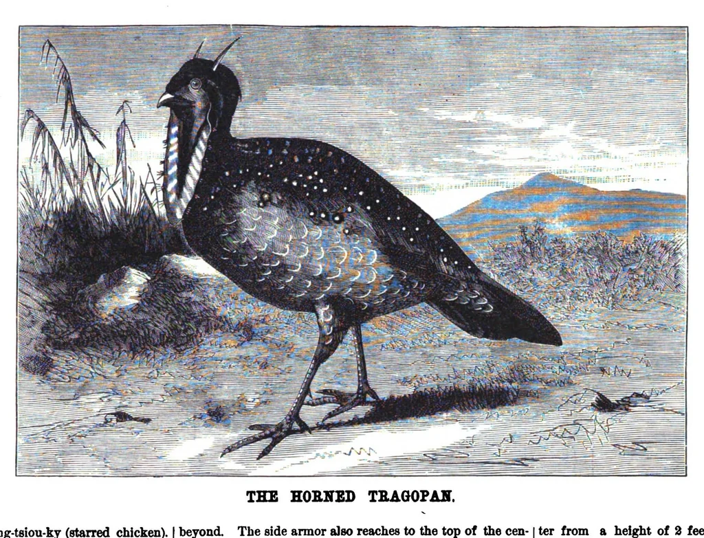 An illustration from Scientific American, Vol. 38, No. 8 (1878), 1878, leaf 8