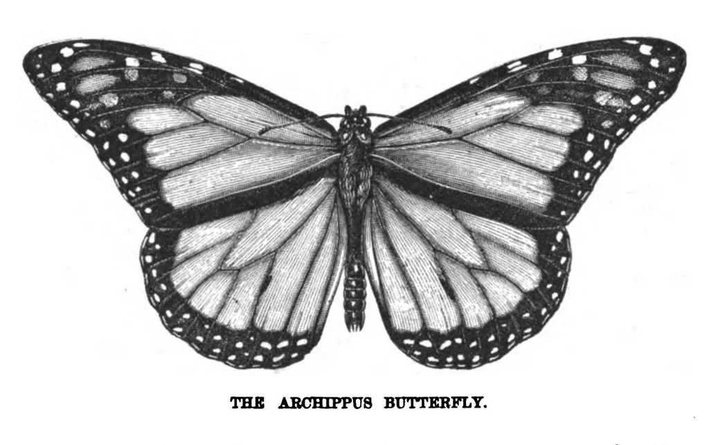 An illustration from Scientific American, Vol. 38, No. 14 (1878), 1878, leaf 8