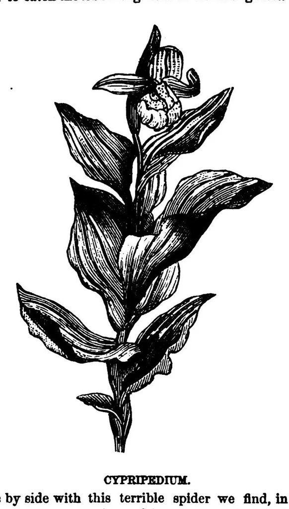 An illustration from Scientific American, Vol. 38, No. 14 (1878), 1878, leaf 9