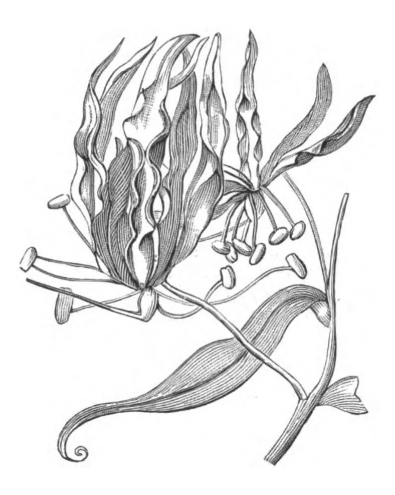 An illustration from Scientific American, Vol. 38, No. 15 (1878), 1878, leaf 10