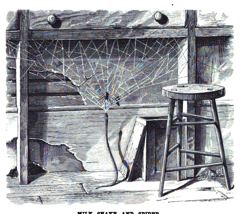 An illustration from Scientific American, Vol. 38, No. 15 (1878), 1878, leaf 8