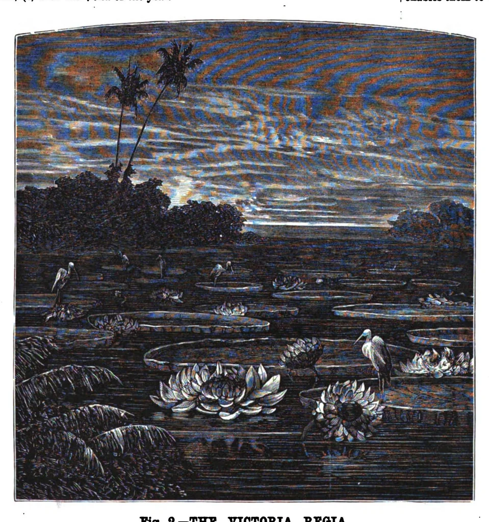 An illustration from Scientific American, Vol. 38, No. 16 (1878), 1878, leaf 8