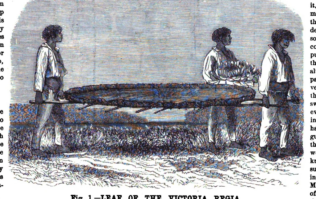 An illustration from Scientific American, Vol. 38, No. 16 (1878), 1878, leaf 8