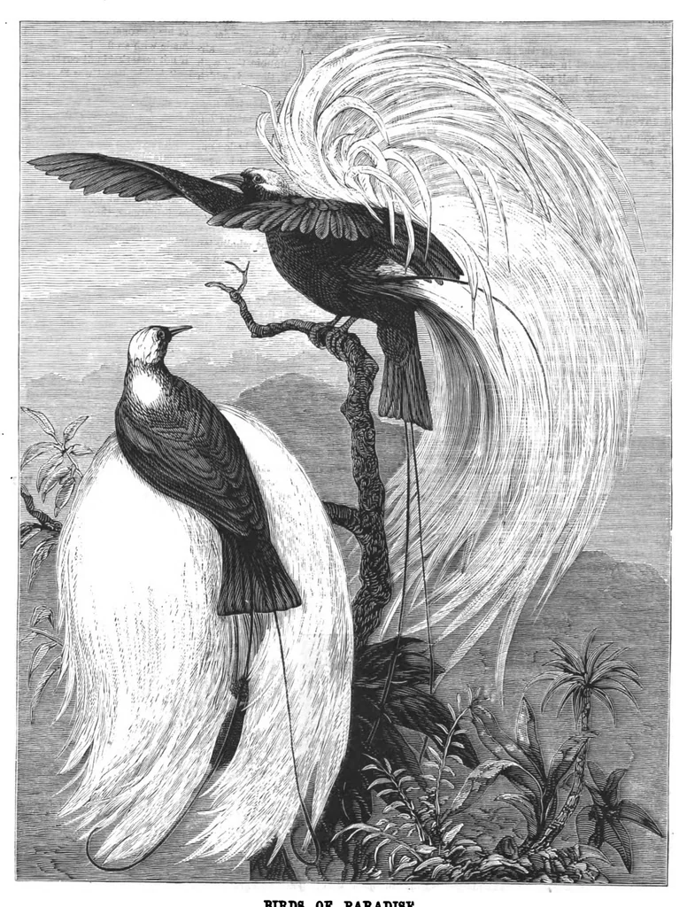 An illustration from Scientific American, Vol. 38, Nos. 24–25 (1878), 1878, leaf 22