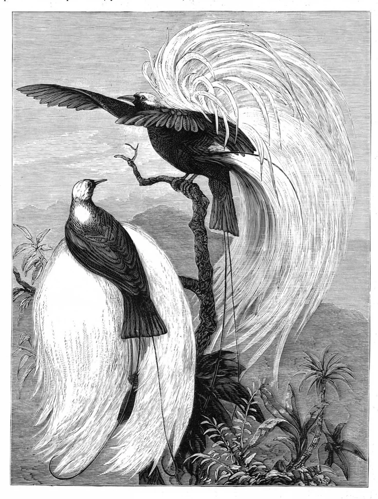 An illustration from Scientific American, Vol. 38, No. 25 (1878), 1878, leaf 8