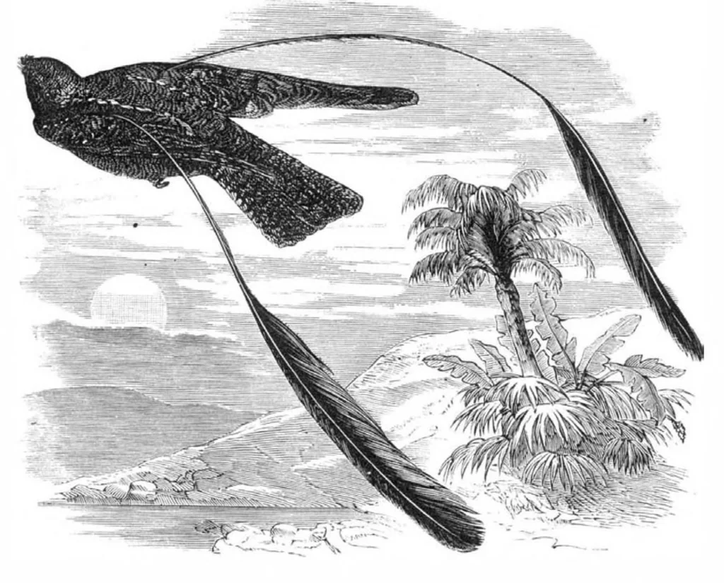 An illustration from Scientific American, Vol. 39, No. 2 (1878), 1878, leaf 10