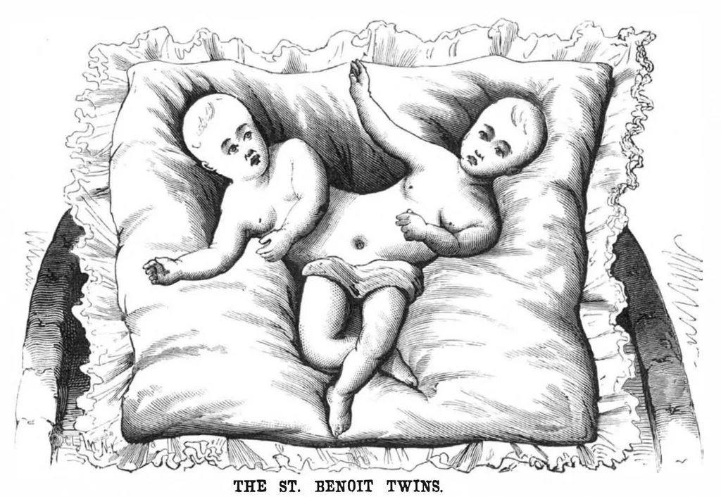 An illustration from Scientific American, Vol. 39, No. 2 (1878), 1878, leaf 9