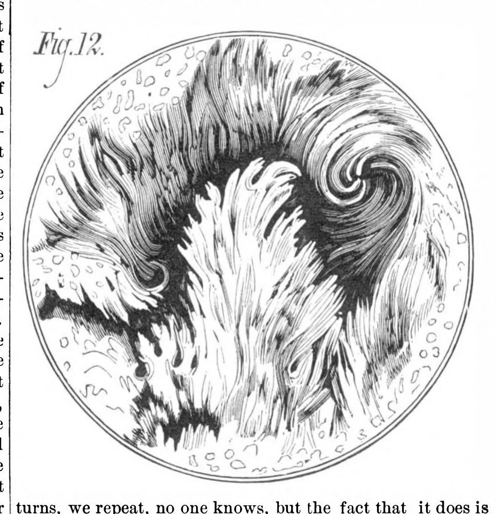 An illustration from Scientific American, Vol. 39, No. 6 (1878), 1878, leaf 2