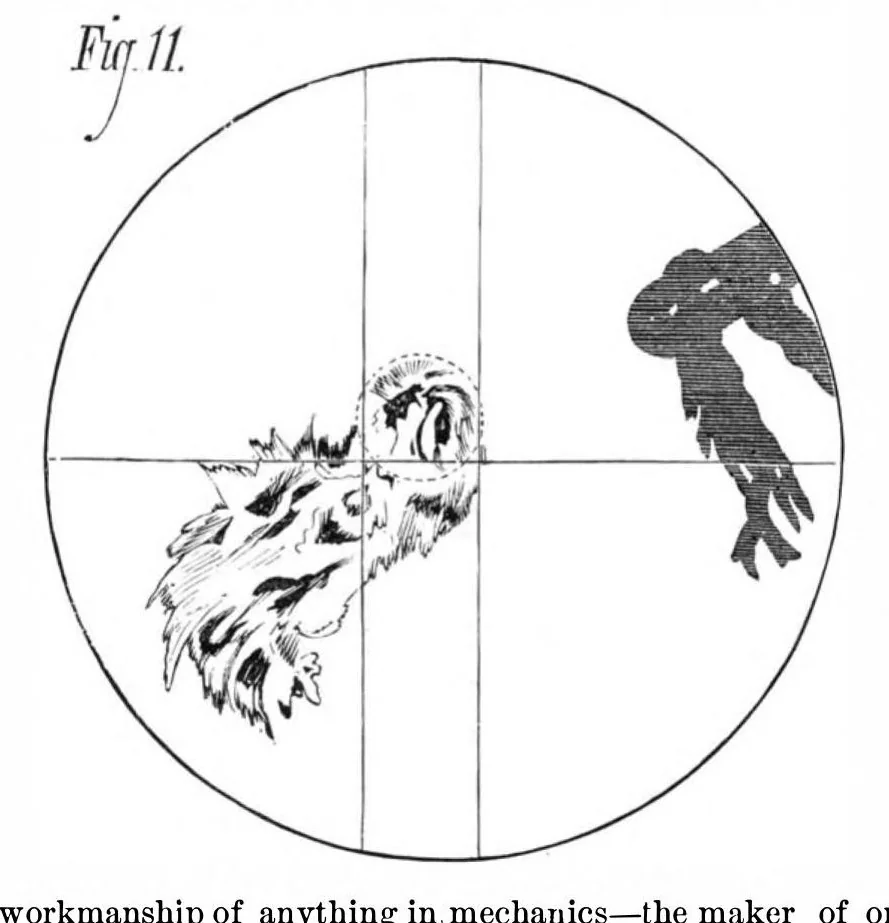 An illustration from Scientific American, Vol. 39, No. 6 (1878), 1878, leaf 2