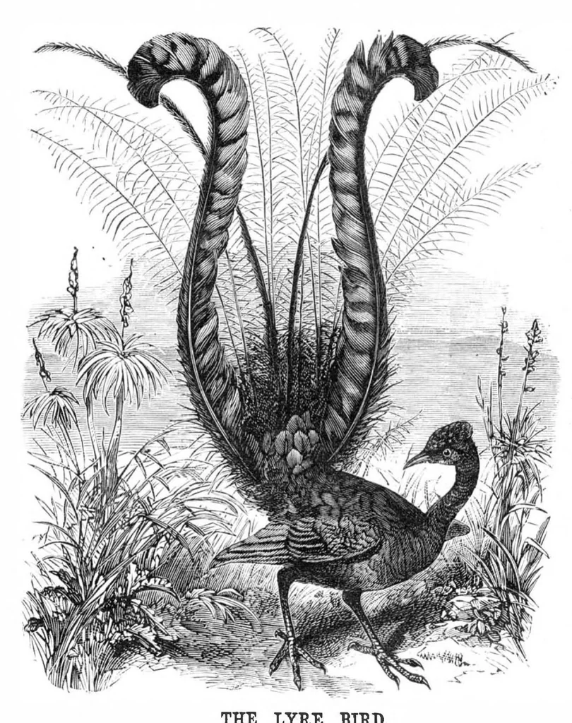 An illustration from Scientific American, Vol. 39, No. 7 (1878), 1878, leaf 8