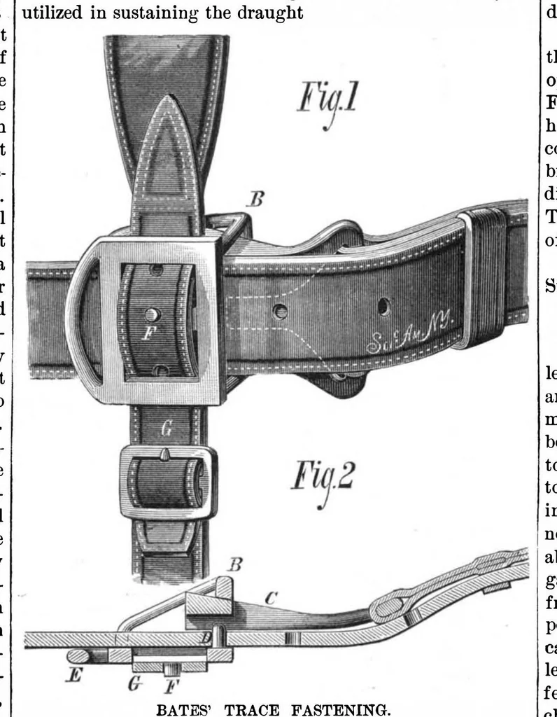 An illustration from Scientific American, Vol. 39, No. 8 (1878), 1878, leaf 4