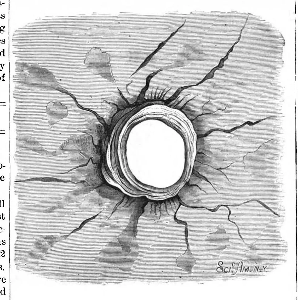 An illustration from Scientific American, Vol. 39, No. 8 (1878), 1878, leaf 5