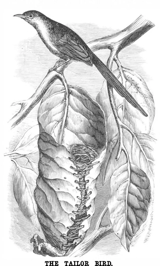 An illustration from Scientific American, Vol. 39, No. 11 (1878), 1878, leaf 8