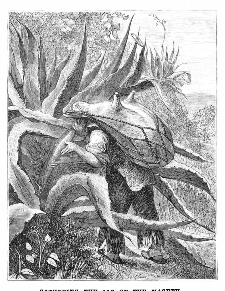 An illustration from Scientific American, Vol. 39, No. 12 (1878), 1878, leaf 8